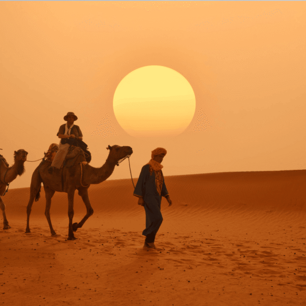 2-Day Zagora Desert Tour from Marrakech