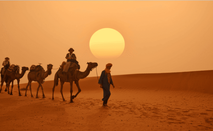 2-Day Zagora Desert Tour from Marrakech