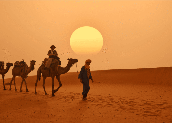 2-Day Zagora Desert Tour from Marrakech