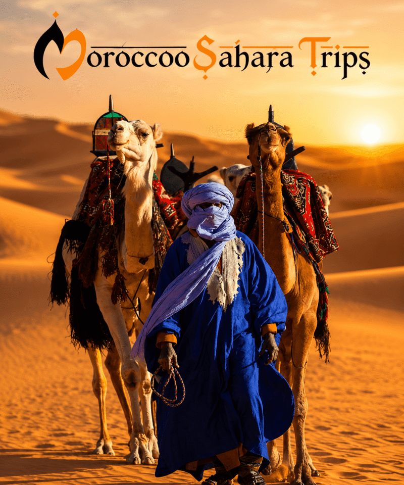 MOROCCO SAHARA TRIPS MOROCCO SAHARA TRIPS