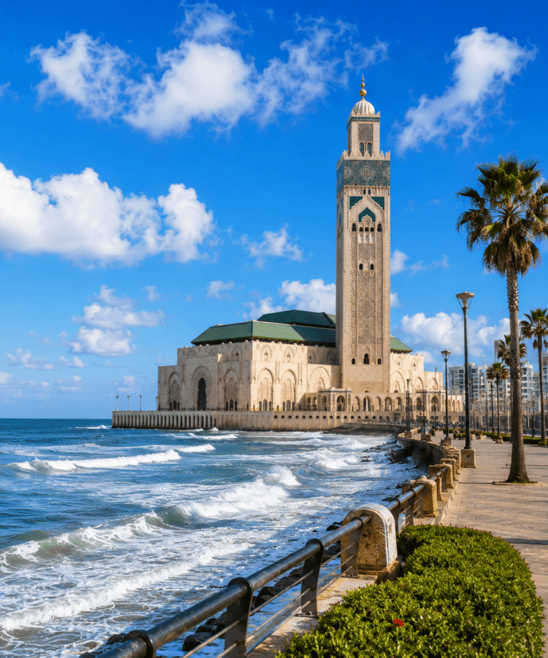 Casablanca Activities