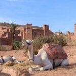 4-Day Ouarzazate to Marrakech Tour | Morocco Sahara Trip