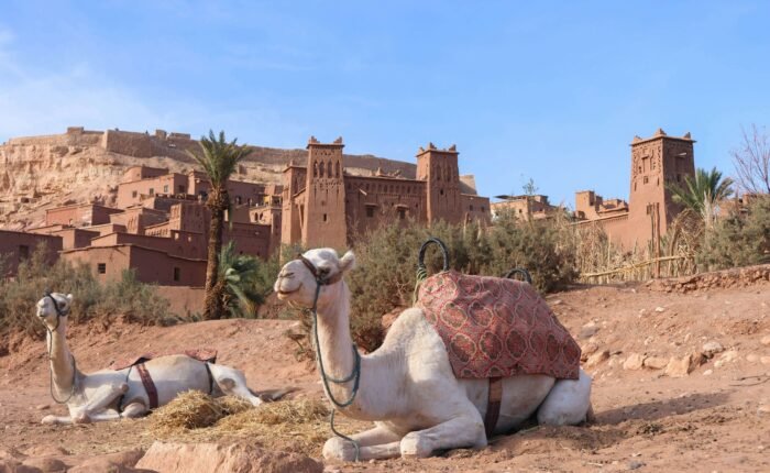 4-Day Ouarzazate to Marrakech Tour | Morocco Sahara Trip