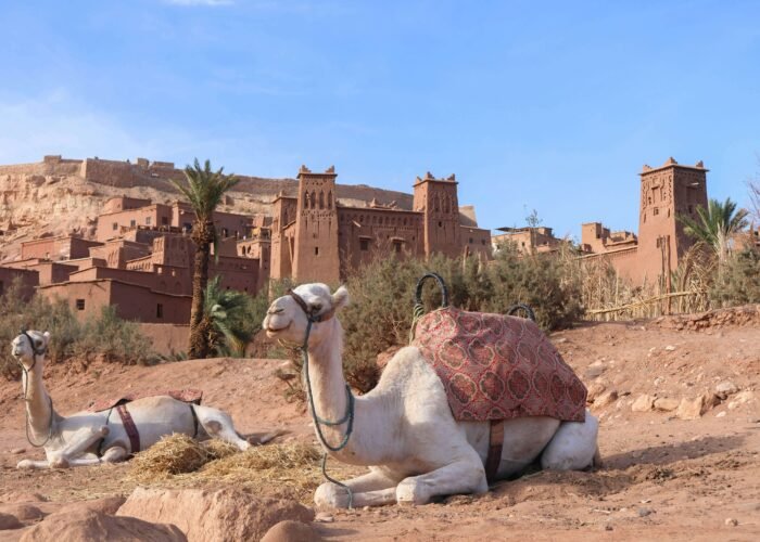 4-Day Ouarzazate to Marrakech Tour | Morocco Sahara Trip