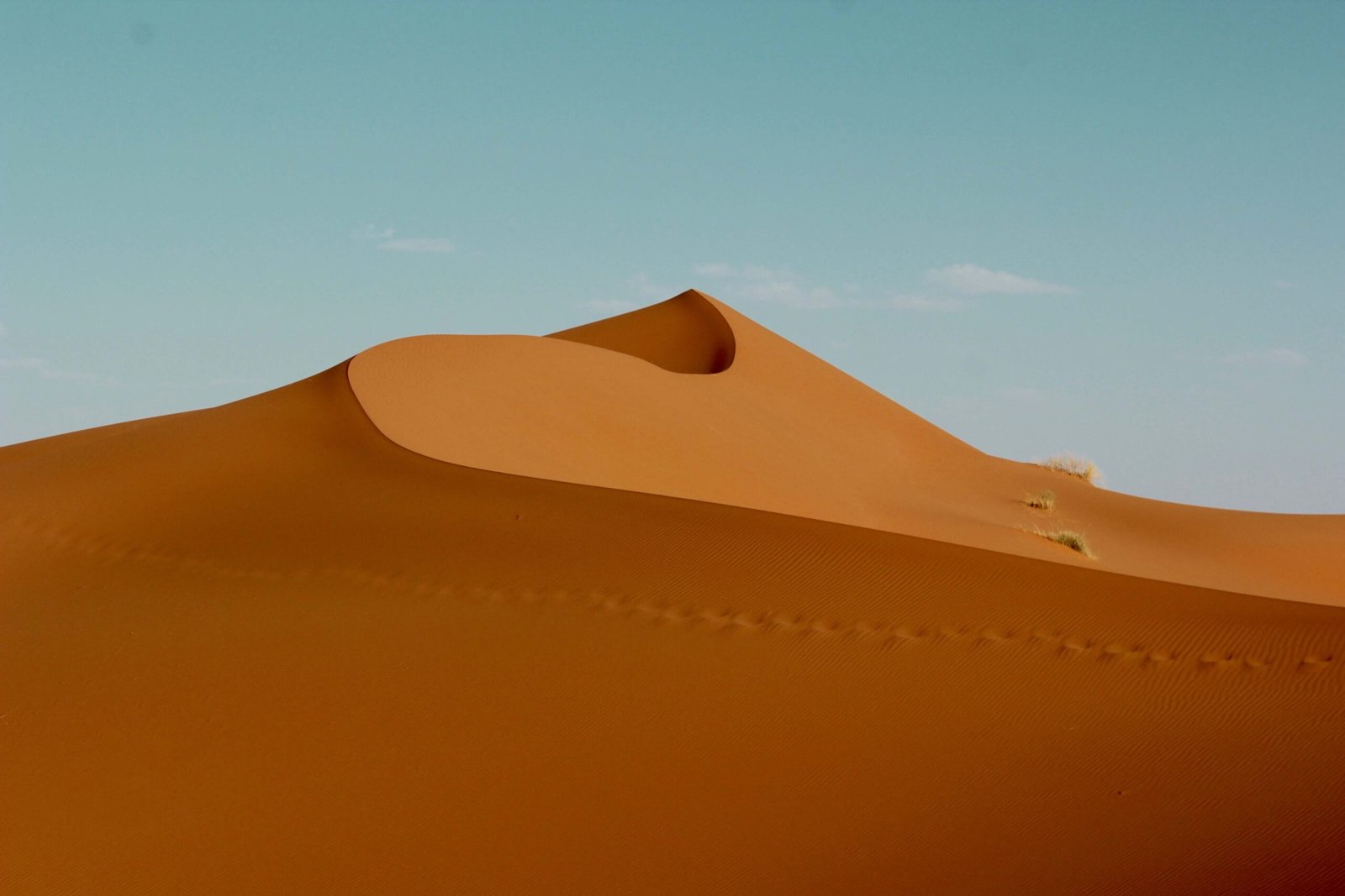 Best Things to Do in the Moroccan Sahara Best Things to Do in the Moroccan Sahara
