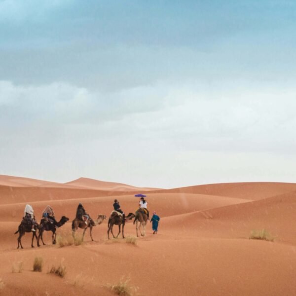 6-Day Ouarzazate to Marrakech Tour | Morocco Desert Tour